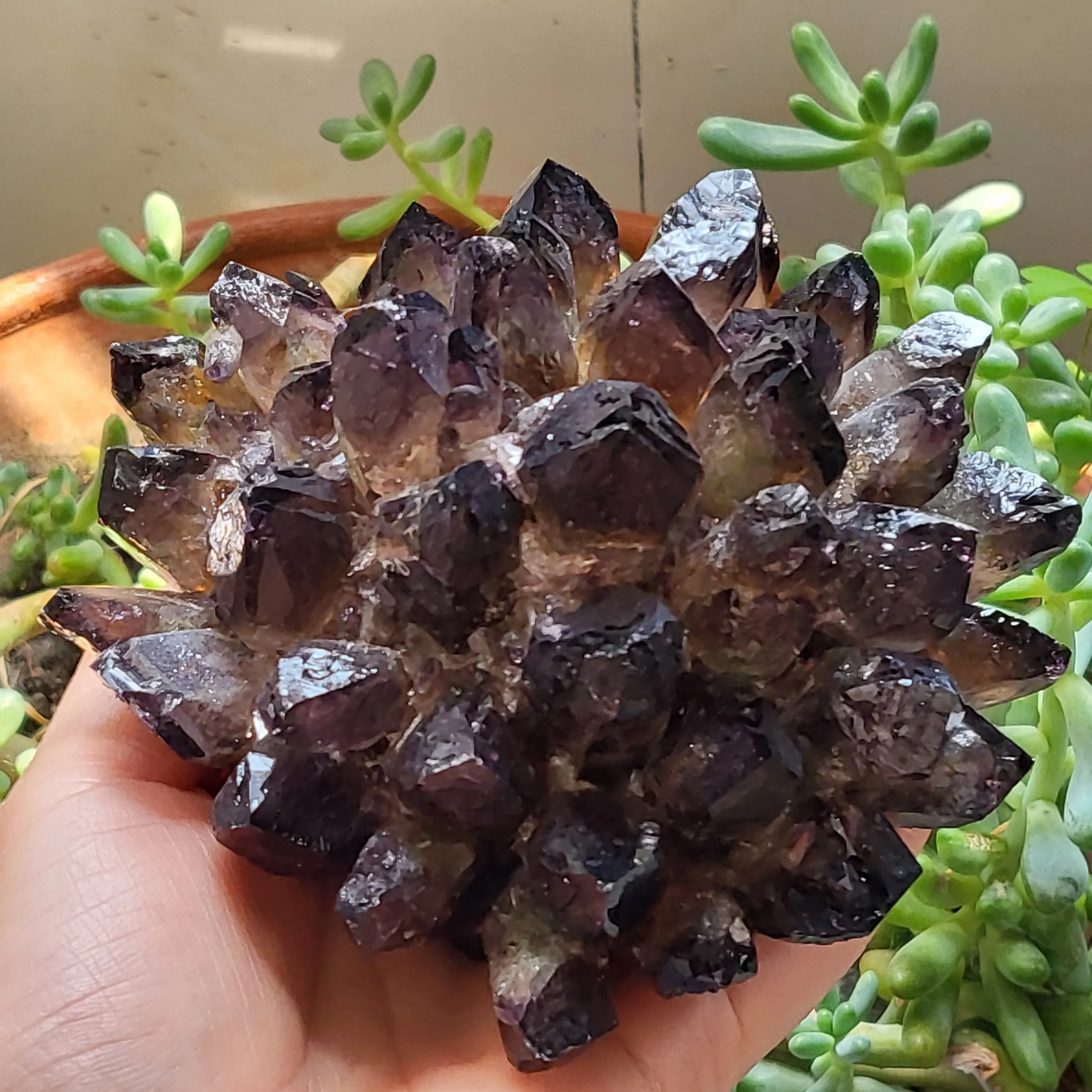Natural Phantom Quartz Crystal Cluster Rock Stones Mineral Reiki Healing Specimen Home Deco
Natural Phantom Quartz Crystal Cluster Rock Stones Mineral Reiki Healing Specimen Home Deco