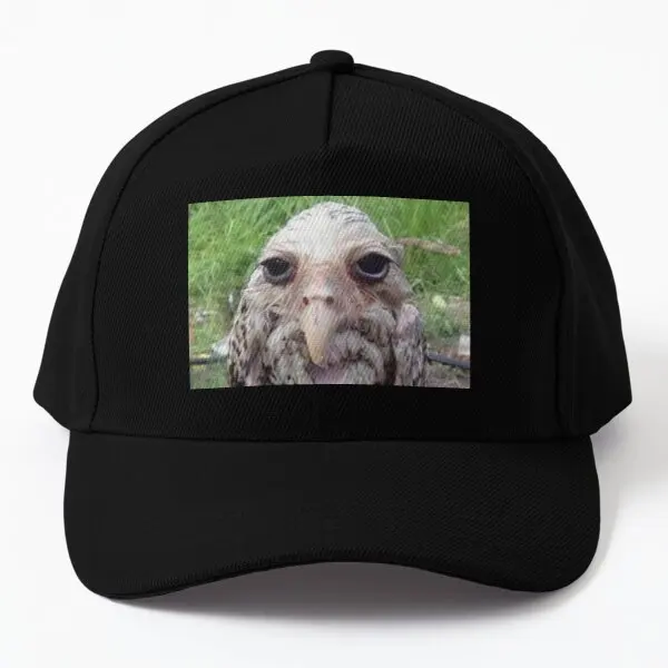 Wet Owl Meme Baseball Cap Hat Bonnet Sun Boys Black Hip Hop Casquette Casual Fish Mens Sport Women Outdoor Printed Summer
Wet Owl Meme Baseball Cap Hat Bonnet Sun Boys Black Hip Hop Casquette Casual Fish Mens Sport Women Outdoor Printed Summer