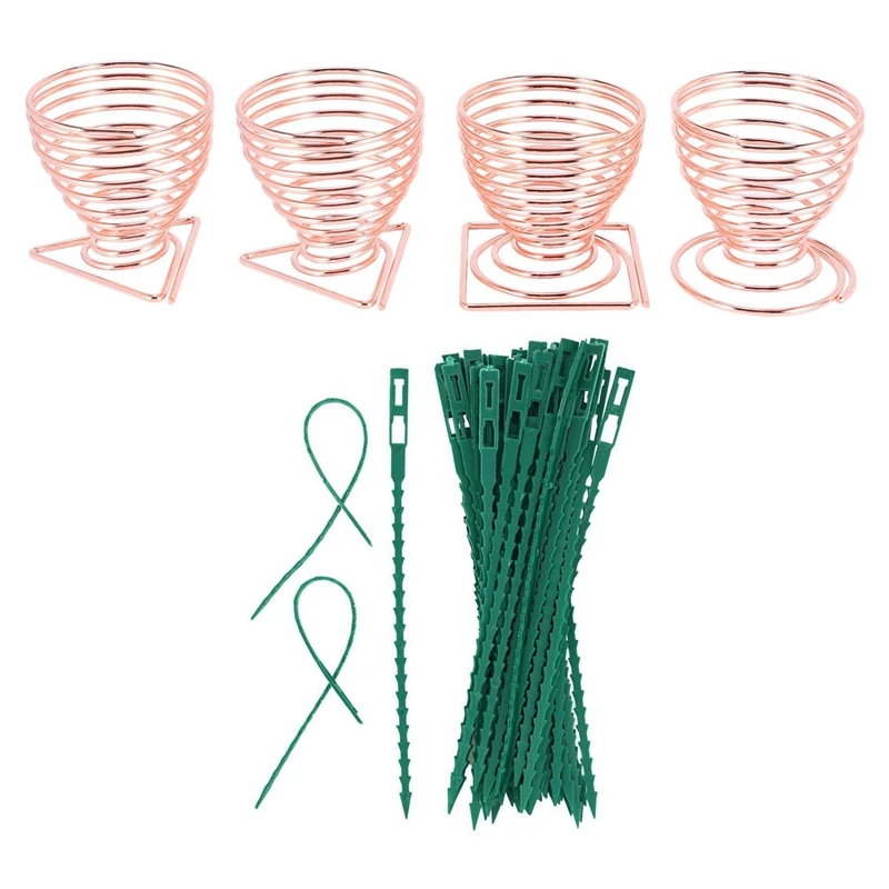 4Pcs Air Plant Overhead Planting Stand Flower Pot Plant Display Rack With 50Pcs Adjustable Garden Plant Twist Ties
4Pcs Air Plant Overhead Planting Stand Flower Pot Plant Display Rack With 50Pcs Adjustable Garden Plant Twist Ties