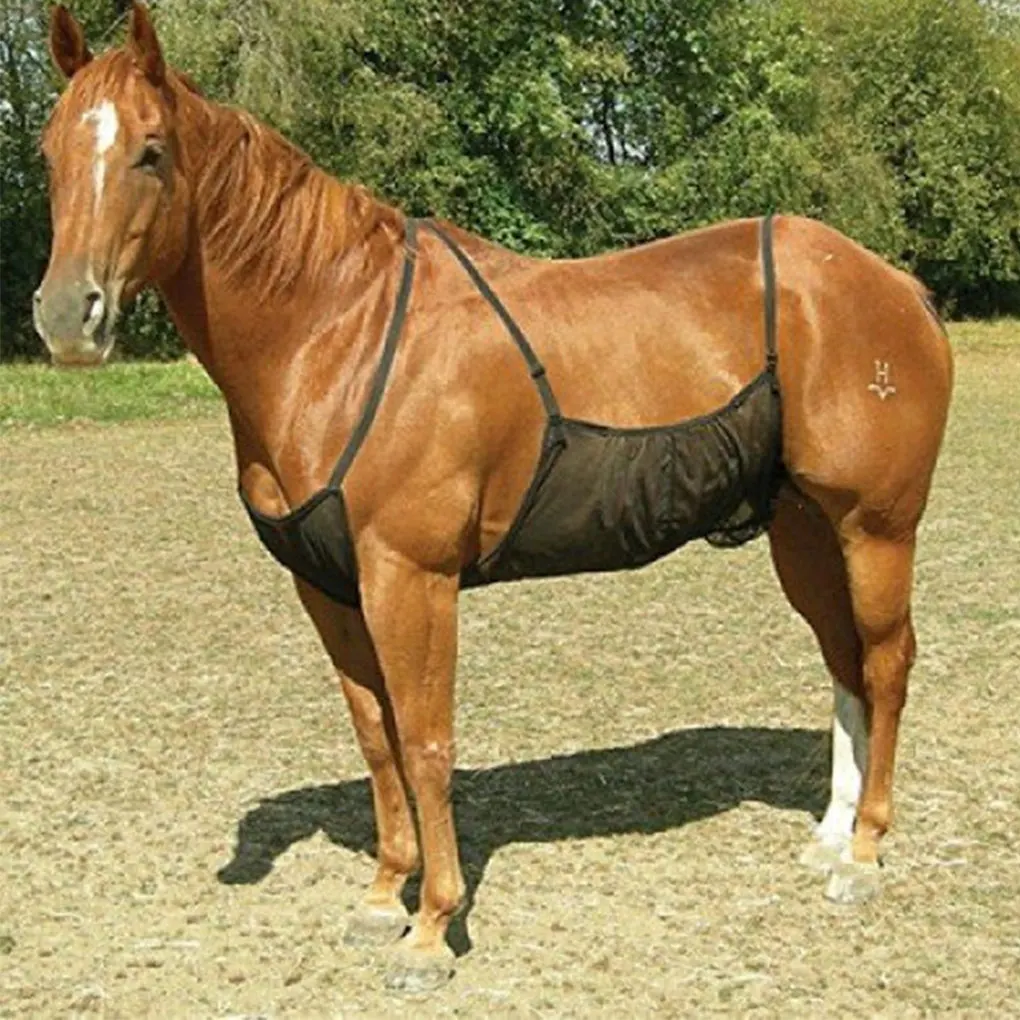 Animal Fly Sheet Adjustable Belly Net Insect Abdomen Breathable Mesh Blanket Scratch-proof Portable Reusable Supplies
Animal Fly Sheet Adjustable Belly Net Insect Abdomen Breathable Mesh Blanket Scratch-proof Portable Reusable Supplies