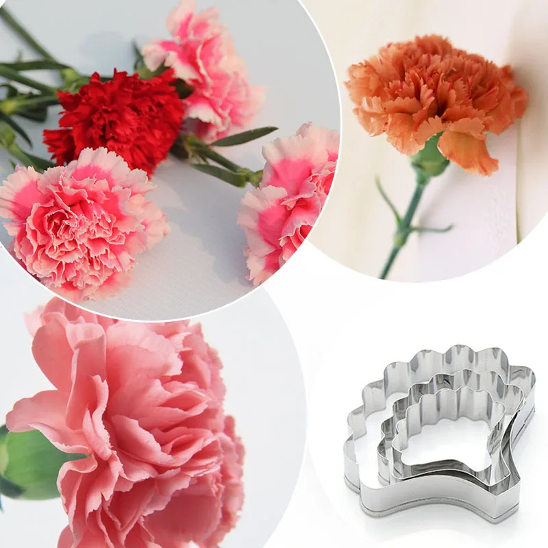Carnation Flower Petal Cookie Cutter Mold Stainless Steel Polymer Clay Cutting Mould Petal Fondant Cake Decorating Supplies Tool
Carnation Flower Petal Cookie Cutter Mold Stainless Steel Polymer Clay Cutting Mould Petal Fondant Cake Decorating Supplies Tool