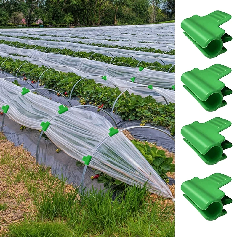 Greenhouse Clamp Clips Plant Support Stakes Pipe Clamps for Outer Diameter Shed Film Row Cover Shading Netting Tunnel Hoop Clips
Greenhouse Clamp Clips Plant Support Stakes Pipe Clamps for Outer Diameter Shed Film Row Cover Shading Netting Tunnel Hoop Clips