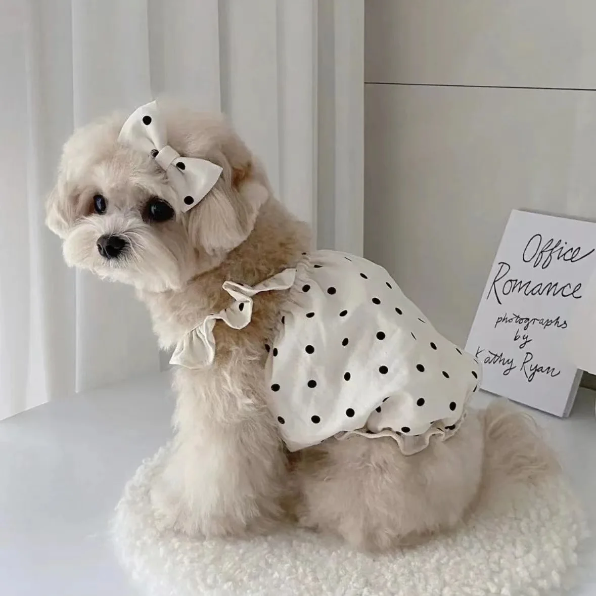 

Pet Summer Thin Section Sunscreen Dog Dress Cute Polka Dot Cat Clothes Puppy Bichon Teddy Yorkshire Breathable Small Dog Clothes