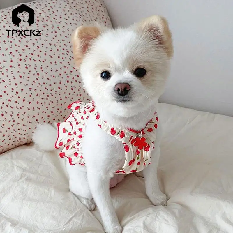 Strawberry Dress Pet Dog Clothes Cat Suspenders Sweet Clothing Dogs Small Chihuahua Summer Pink Breathable Girl Boy Chihuahua
Strawberry Dress Pet Dog Clothes Cat Suspenders Sweet Clothing Dogs Small Chihuahua Summer Pink Breathable Girl Boy Chihuahua