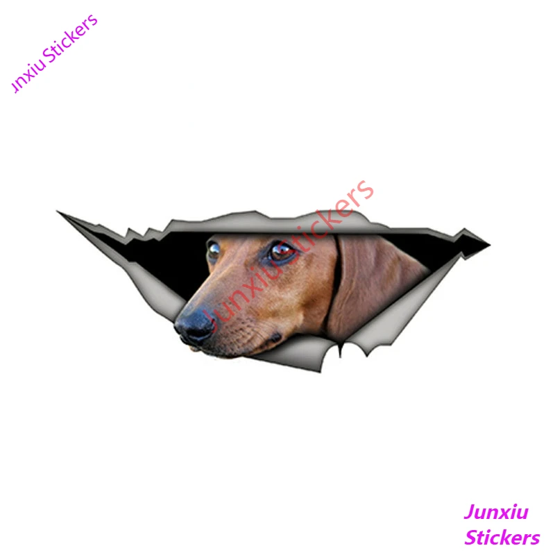 3D-наклейки на автомобиль, декоративные водонепроницаемые наклейки с защитой от царапин, pvc15 x 6 см 
3D-наклейки на автомобиль, декоративные водонепроницаемые наклейки с защитой от царапин, pvc15 x 6 см