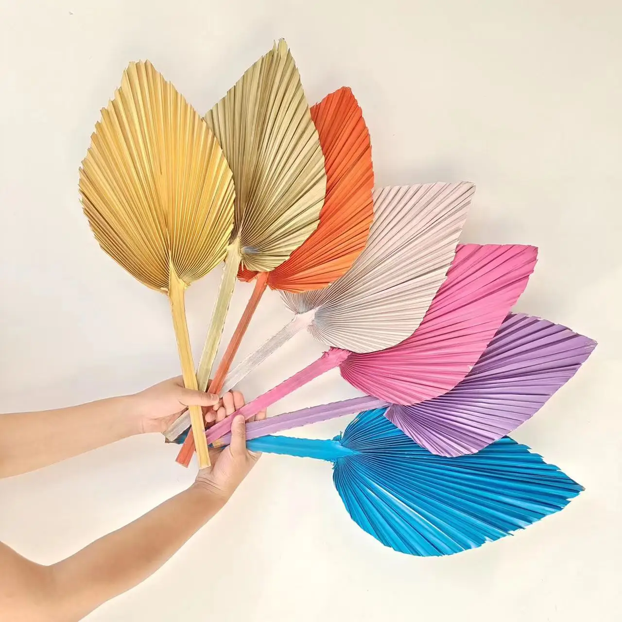 Aqumotic Dried Palm Leaf Natural Cattail Leaf Fan for Home Flower Art Landscaping Pampa Dry Flowers Bonsai Scandinavian Decor
Aqumotic Dried Palm Leaf Natural Cattail Leaf Fan for Home Flower Art Landscaping Pampa Dry Flowers Bonsai Scandinavian Decor