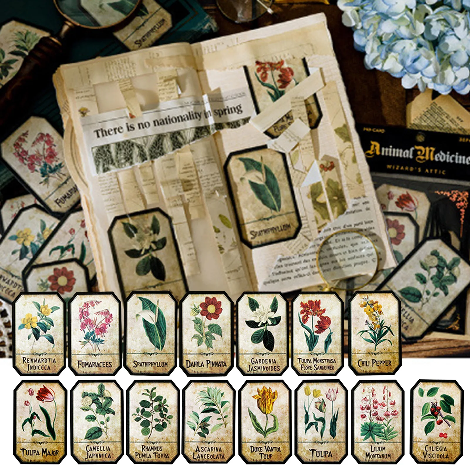 30pcs/lot Retro Magic Plant Diary Stickers For Scrapbook Notebook Vintage Journal Decorative Sticker DIY Scrapbooking Material 
30pcs/lot Retro Magic Plant Diary Stickers For Scrapbook Notebook Vintage Journal Decorative Sticker DIY Scrapbooking Material