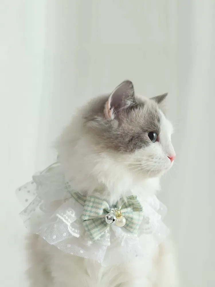 Cat Collar Adjustable Necklace Collar Muppet Decoration Dog Accessories Fashion Bow Bells Cute Pet Supplies Costumes
Cat Collar Adjustable Necklace Collar Muppet Decoration Dog Accessories Fashion Bow Bells Cute Pet Supplies Costumes