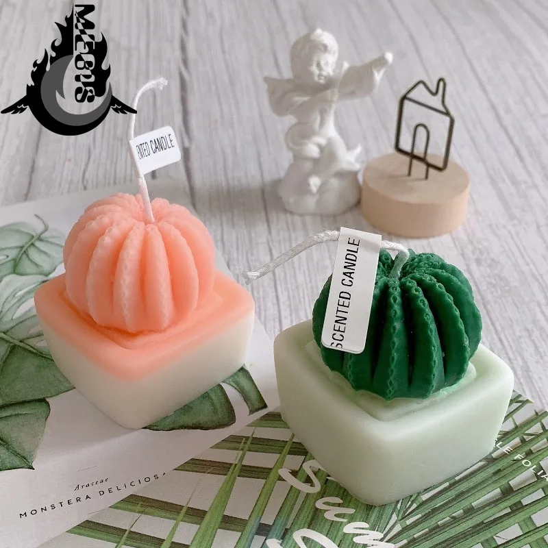 wholesale Cactus Candle Succulent Shaped Candle Birthday Favors Decorations Mini Tealight Candles
wholesale Cactus Candle Succulent Shaped Candle Birthday Favors Decorations Mini Tealight Candles