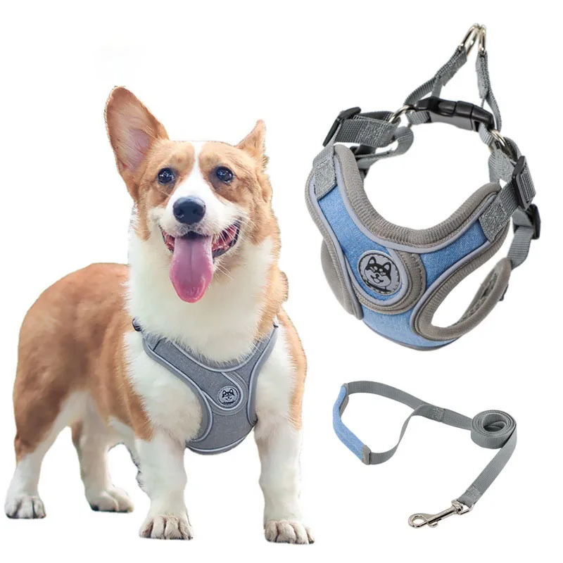Vest Dog Leash Reflective Ring Harness Dog Accessories Puppy Collar Leashes Accessories Walking The Dogs Pet Supplies Pets
Vest Dog Leash Reflective Ring Harness Dog Accessories Puppy Collar Leashes Accessories Walking The Dogs Pet Supplies Pets