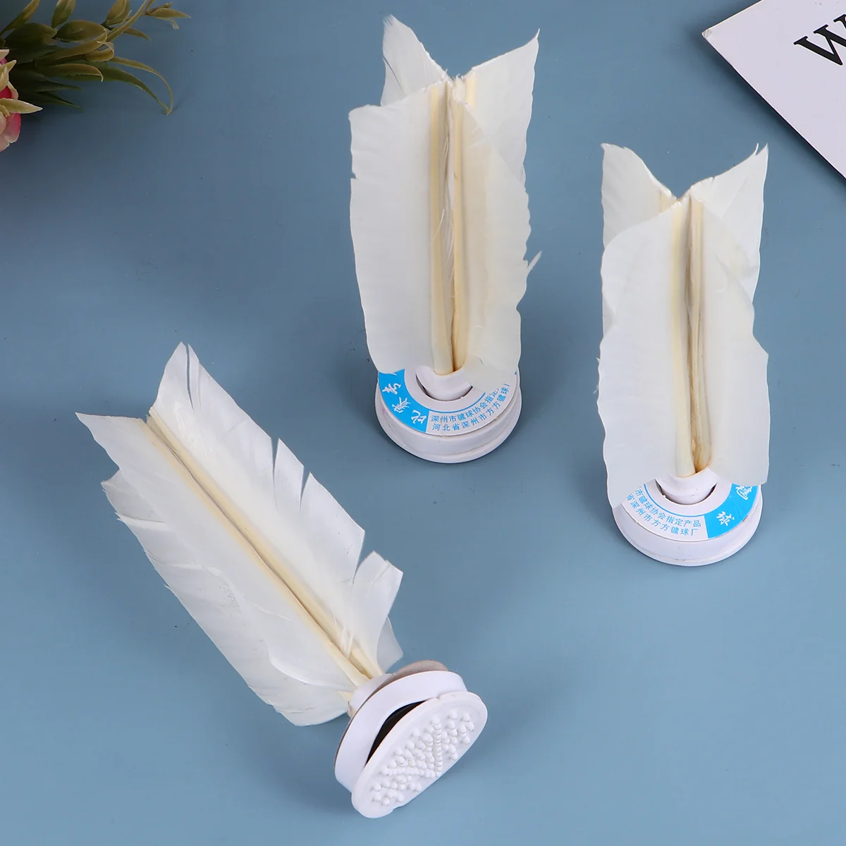 6 Pcs White Adult Training Fitness Shuttlecock Colored Shuttlecock Goose Shuttlecock Chinese Traditional Shuttlecock
6 Pcs White Adult Training Fitness Shuttlecock Colored Shuttlecock Goose Shuttlecock Chinese Traditional Shuttlecock
