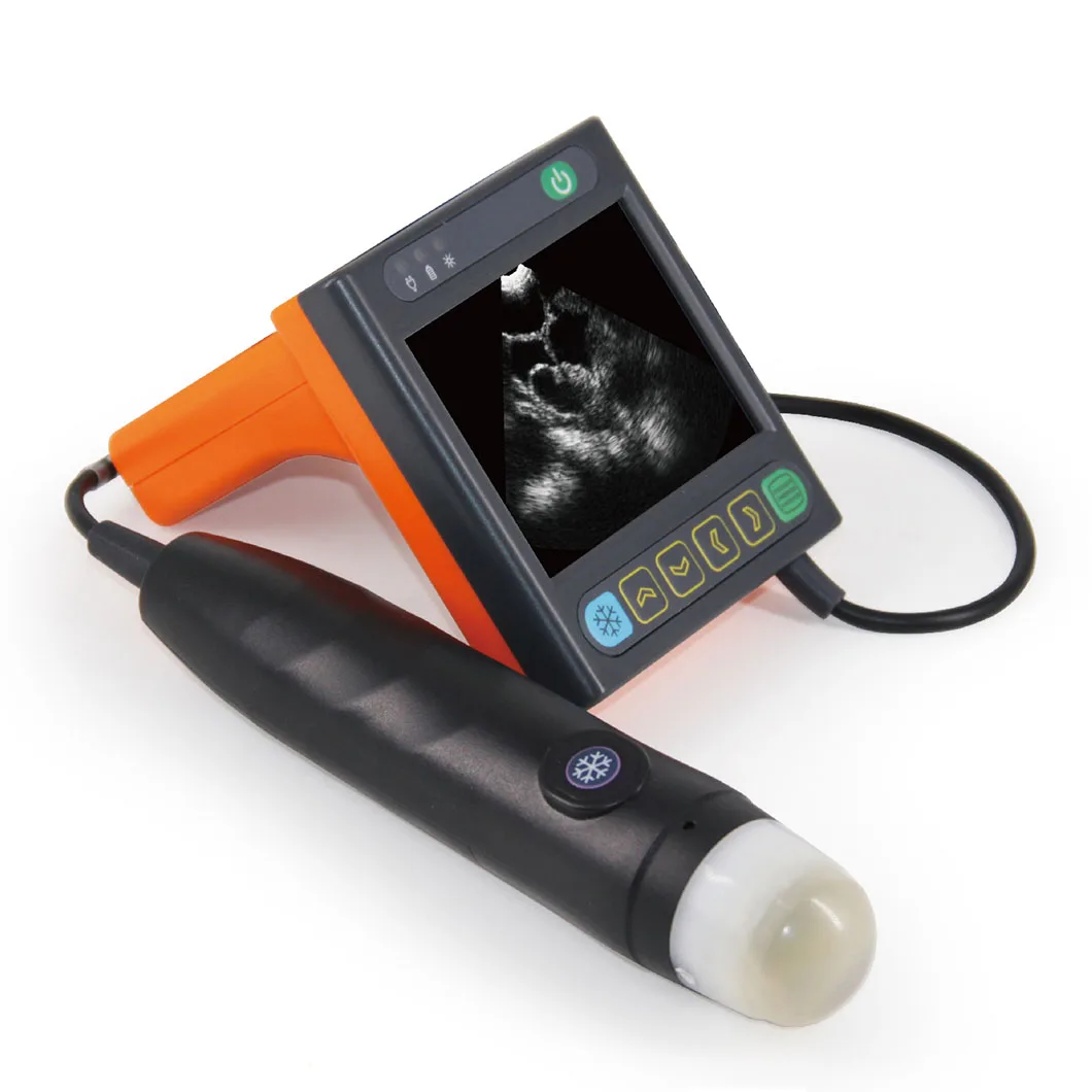 Medical ultrasound instruments Portable Vet Wrist pig sheep Pregnancy Ultrasound machine
Medical ultrasound instruments Portable Vet Wrist pig sheep Pregnancy Ultrasound machine