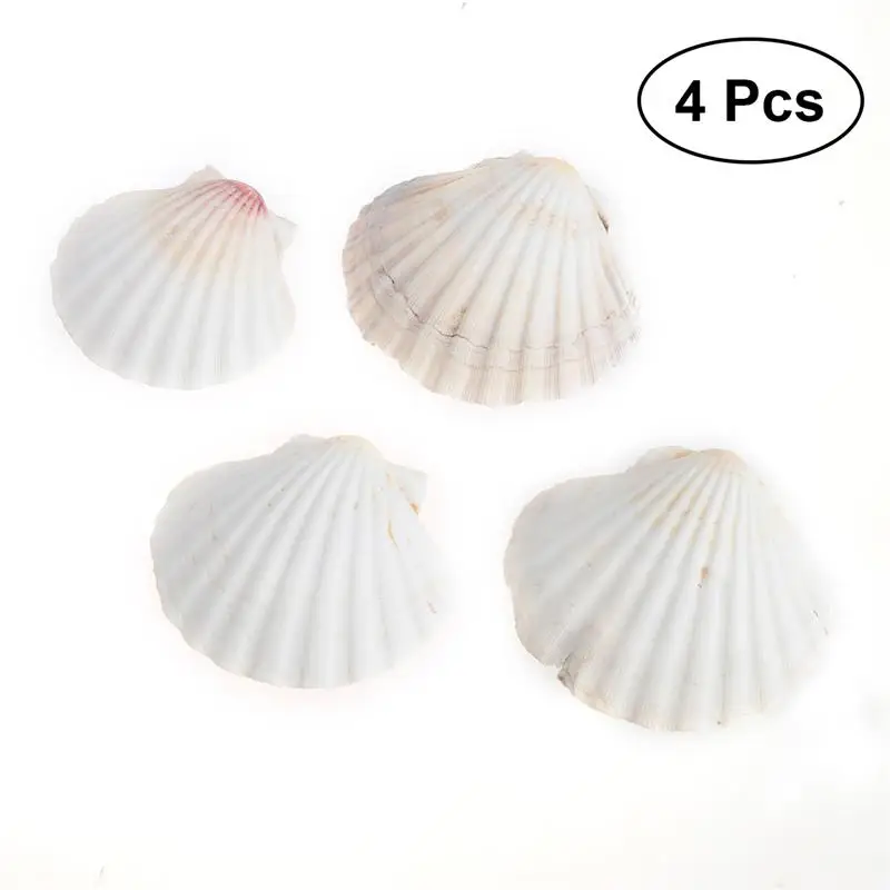4pcs Beach SeaShells Decorate DIY 9-14cm Mediterranean Style Sea Natural Shells Shell Crafts Aquarium Fish Tank Decor
4pcs Beach SeaShells Decorate DIY 9-14cm Mediterranean Style Sea Natural Shells Shell Crafts Aquarium Fish Tank Decor