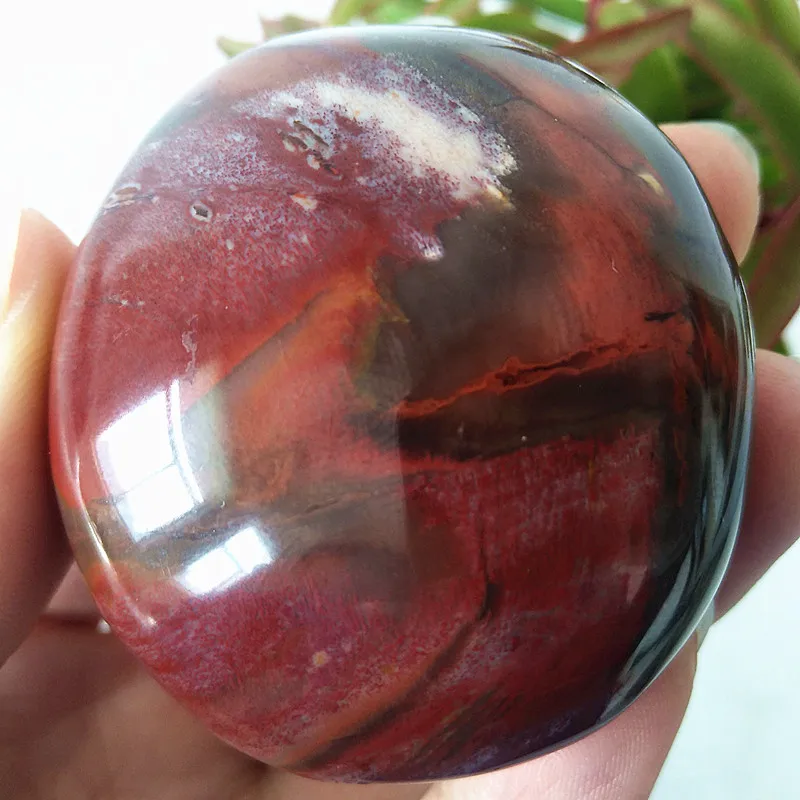 Natural Stone Wood Fossil Palm St Chakra Spiritual Energy Repair Healing Natural Qi Wealth Good Luck Meditation Reiki Healing
Natural Stone Wood Fossil Palm St Chakra Spiritual Energy Repair Healing Natural Qi Wealth Good Luck Meditation Reiki Healing