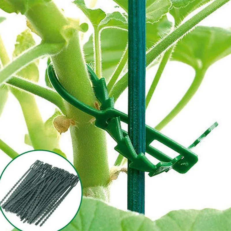 50Pcs Plant Support Shrubs Fastener Tree Locking Nylon Adjustable Plastic Cable Ties Tools Reusable Garden Cable Ties
50Pcs Plant Support Shrubs Fastener Tree Locking Nylon Adjustable Plastic Cable Ties Tools Reusable Garden Cable Ties