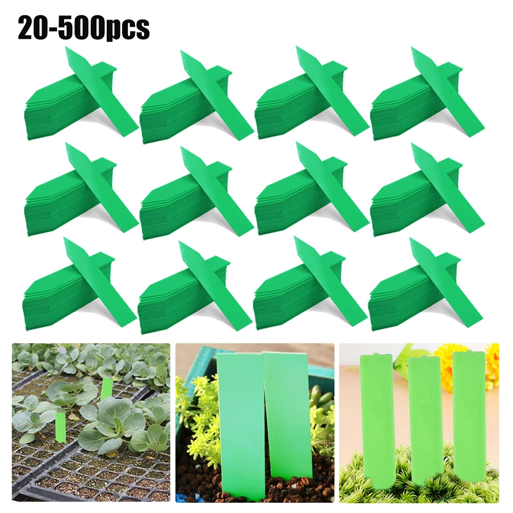 20 штук рассады Классификация бирка знак сад Пластик выращивания растений Этикетки многоразовые горшки для цветов маркеры знак
20 штук рассады Классификация бирка знак сад Пластик выращивания растений Этикетки многоразовые горшки для цветов маркеры знак
