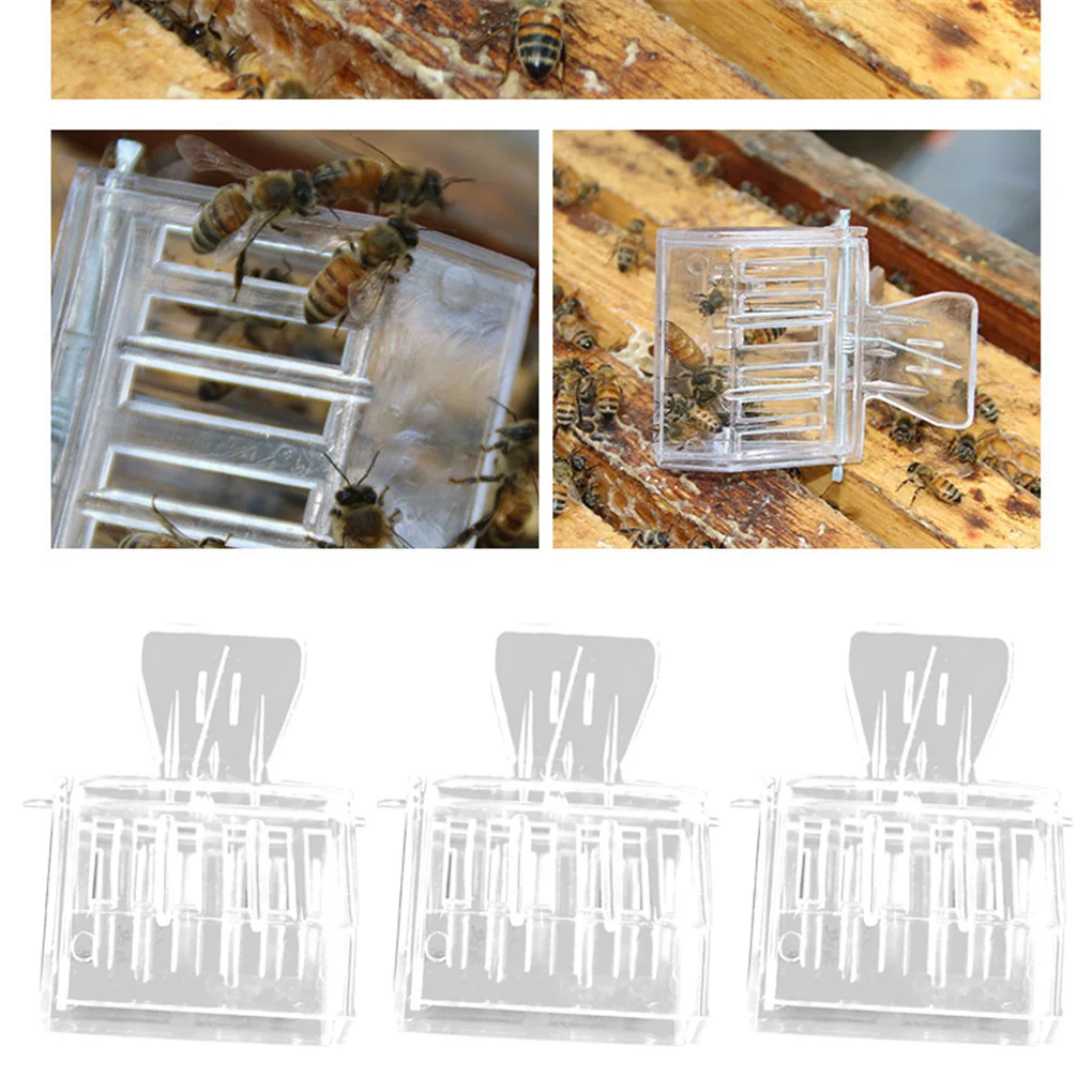5pcs Bee Catchers Garden Beekeeping Plastic Bee Catching Clips Cages Clamps Beekeeper Equipment
5pcs Bee Catchers Garden Beekeeping Plastic Bee Catching Clips Cages Clamps Beekeeper Equipment