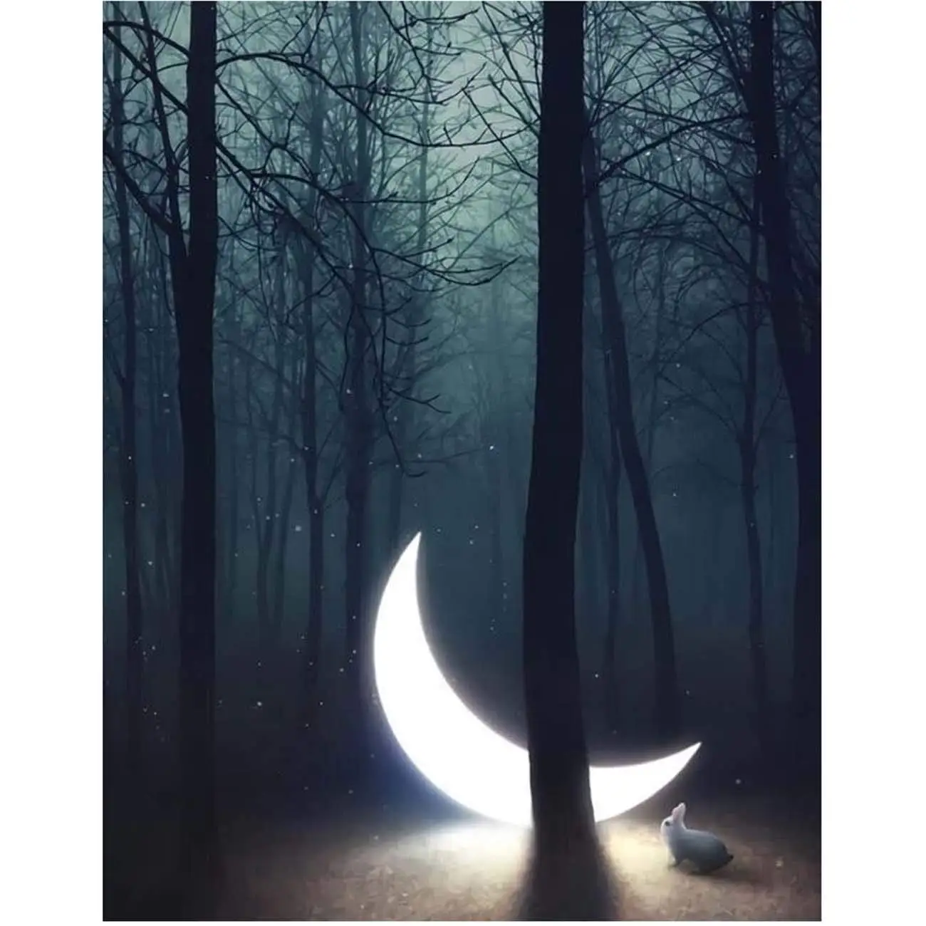 5D Diamond Painting The Moon in The Forest Full Drill by Number Kits for Adults, DIY Diamond Set Arts Craft Decorations a0600
5D Diamond Painting The Moon in The Forest Full Drill by Number Kits for Adults, DIY Diamond Set Arts Craft Decorations a0600