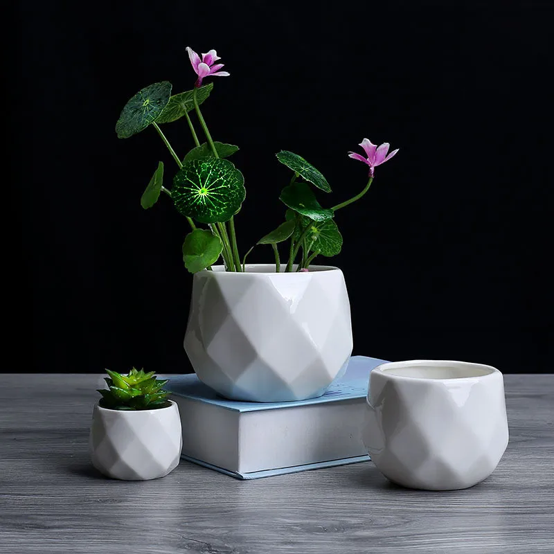 Creative Ceramic Diamond Geometric Flowerpot Simple Succulent Plant Container Small Bonsai Pots Green Planters Home Decoration
Creative Ceramic Diamond Geometric Flowerpot Simple Succulent Plant Container Small Bonsai Pots Green Planters Home Decoration