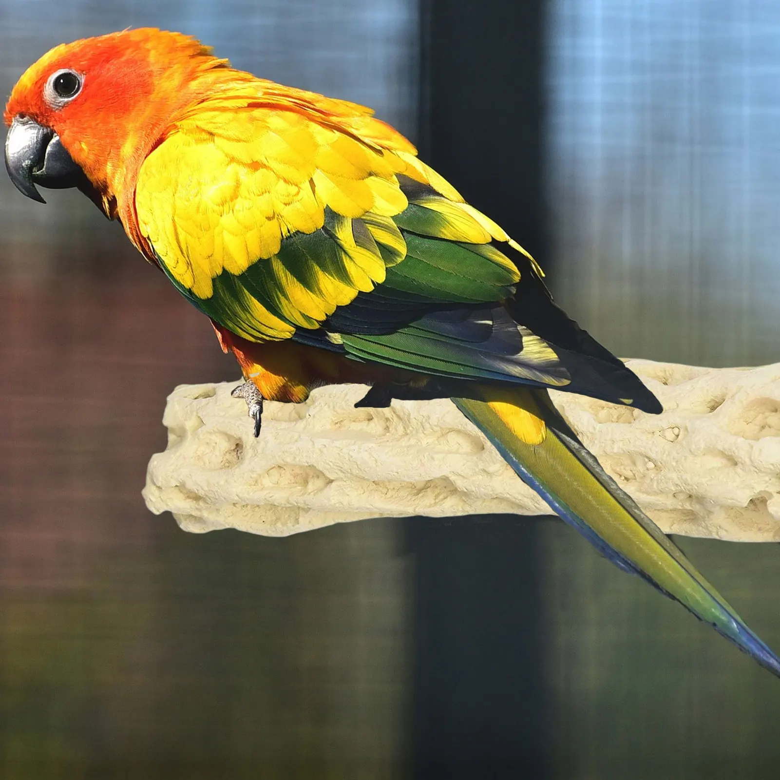 Grinding Claw Stick Bird Cage Perch Stand Bird Station Rack For Bird Parrot Budgies Parakeet Cockatiels Cage Accessories
Grinding Claw Stick Bird Cage Perch Stand Bird Station Rack For Bird Parrot Budgies Parakeet Cockatiels Cage Accessories