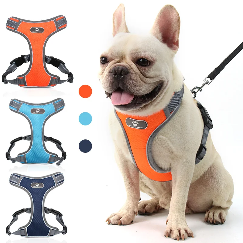 Popular Dog Harness reflective and breathable No Pull Dog Harness for Leash Harness Training Stops Pets from Pulling
Popular Dog Harness reflective and breathable No Pull Dog Harness for Leash Harness Training Stops Pets from Pulling
