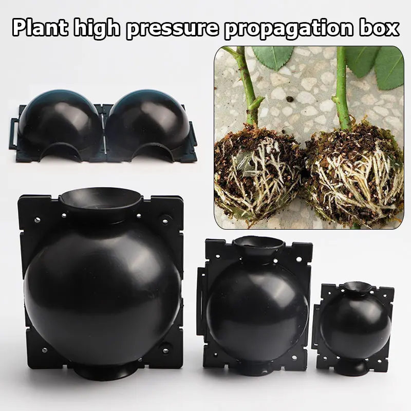 1pcs Plant Rooting Ball Grafting Rooting Box Breeding Case Plant Root Growing Box For Garden 5/8cm In Diameter Planting Tools
1pcs Plant Rooting Ball Grafting Rooting Box Breeding Case Plant Root Growing Box For Garden 5/8cm In Diameter Planting Tools