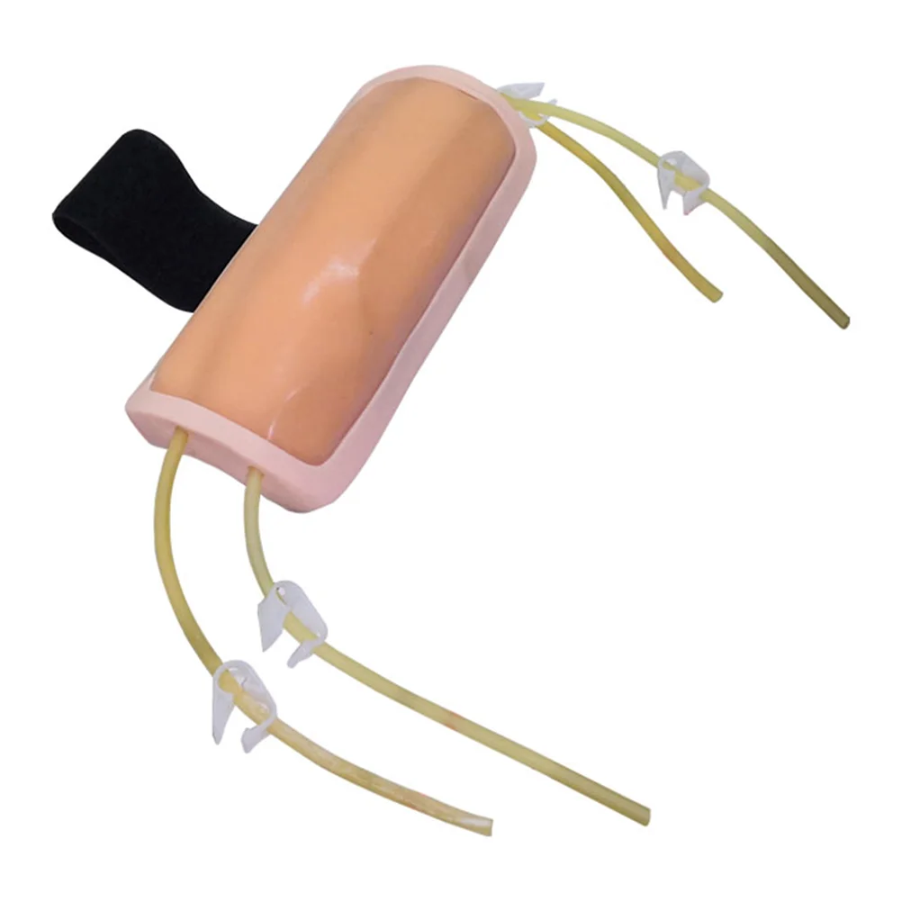 Blood Drawing Puncture Model Venipuncture Infusion Training Phlebotomy Practice Kit Injection Skin Texture Pvc
Blood Drawing Puncture Model Venipuncture Infusion Training Phlebotomy Practice Kit Injection Skin Texture Pvc
