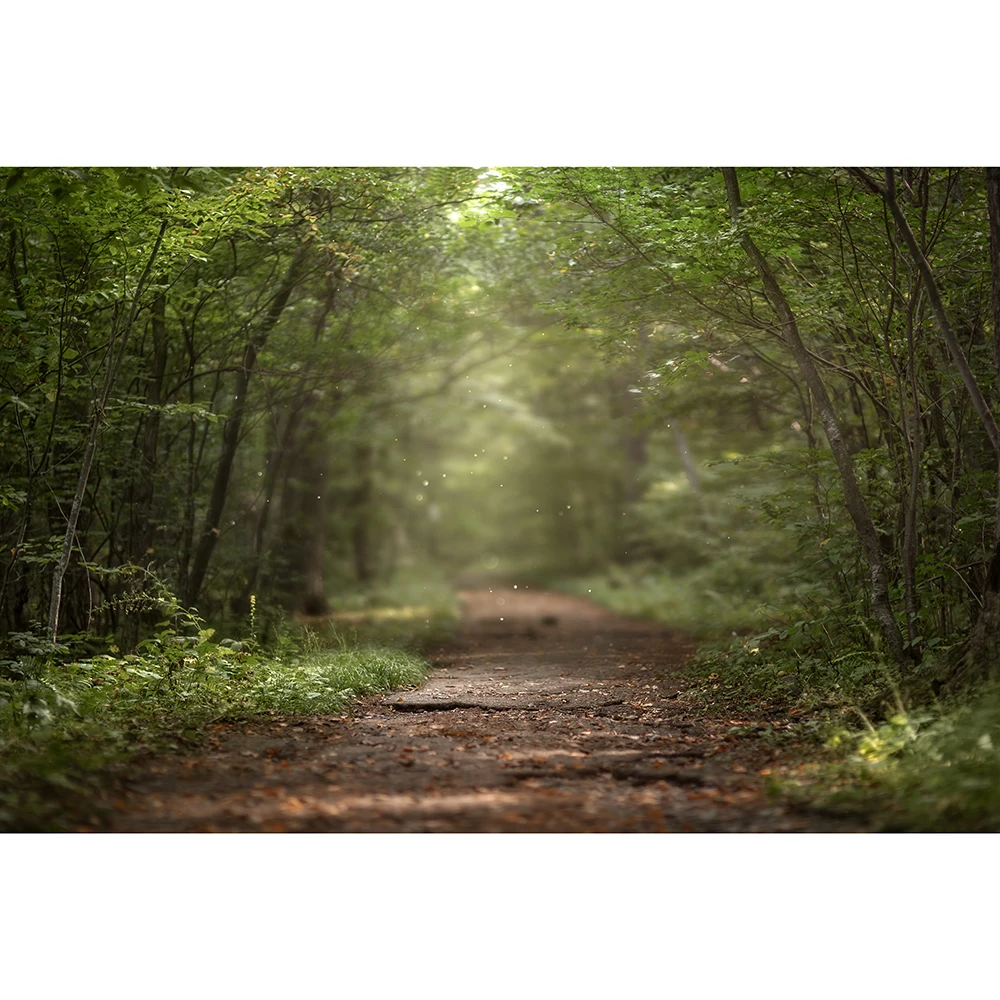 Enchanted Forest Path Road Between the Trees in Foggy Blurred Lens Natural Scenery Magic Trip Background Photography Backdrop
Enchanted Forest Path Road Between the Trees in Foggy Blurred Lens Natural Scenery Magic Trip Background Photography Backdrop