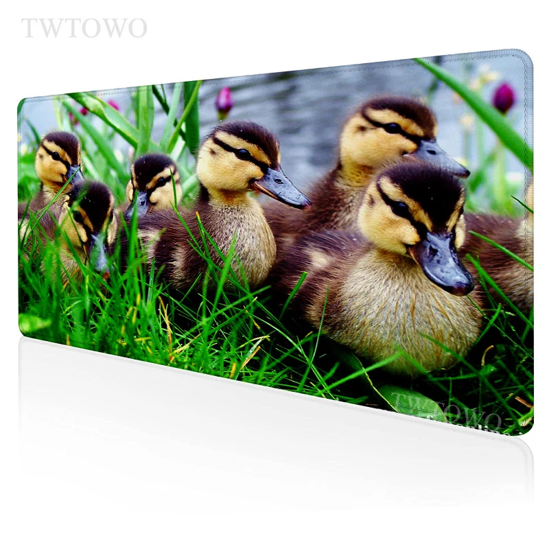 Bird Mouse Pad Gaming XL HD New Computer Mousepad XXL MousePads Mouse Mat Office Carpet Natural Rubber Soft Laptop Mouse Mat
Bird Mouse Pad Gaming XL HD New Computer Mousepad XXL MousePads Mouse Mat Office Carpet Natural Rubber Soft Laptop Mouse Mat