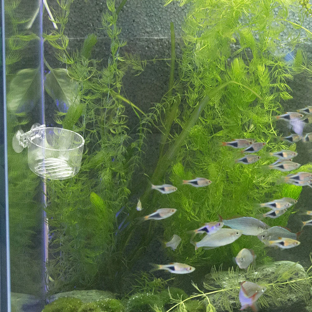 Water Cup Round Fish Tank Red Worm Feeder Aquarium Food Suction Feeders Clear Acrylic
Water Cup Round Fish Tank Red Worm Feeder Aquarium Food Suction Feeders Clear Acrylic