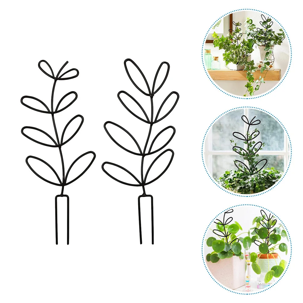 Trellis Support Climbing Plants Garden Rack Vine Indoor Potted Stakepot Cages Stand Metal Pole Holder Shaped Leaf Stem Cucumber
Trellis Support Climbing Plants Garden Rack Vine Indoor Potted Stakepot Cages Stand Metal Pole Holder Shaped Leaf Stem Cucumber
