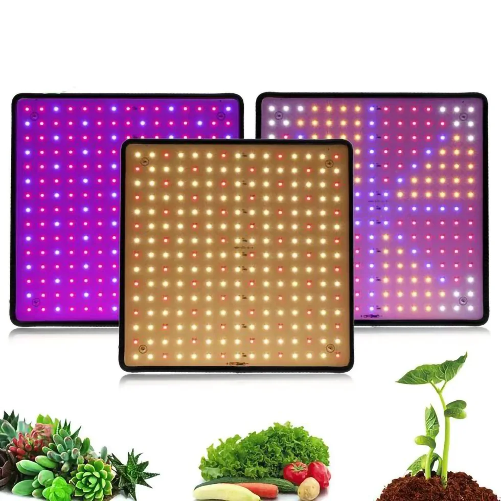 1000W 2000W Led Grow Light Phytolamp for Plant Lamp Full Spectrum Grow Tent Lights Lamp Grow Lamp Indoor Lighting Hydroponic
1000W 2000W Led Grow Light Phytolamp for Plant Lamp Full Spectrum Grow Tent Lights Lamp Grow Lamp Indoor Lighting Hydroponic