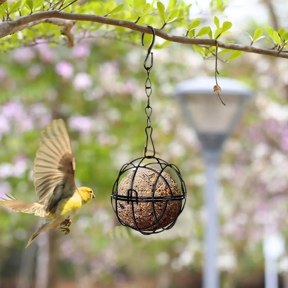 Suet Ball Feeder Bird Suet Balls Holder For Bird Feeding Set Of 1 Metal Bird Feeder Fat Ball Bird Feeders Energy Suet Ball
Suet Ball Feeder Bird Suet Balls Holder For Bird Feeding Set Of 1 Metal Bird Feeder Fat Ball Bird Feeders Energy Suet Ball