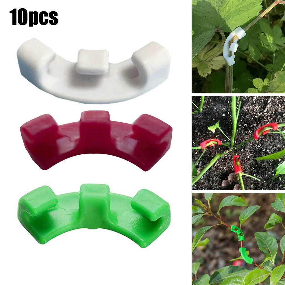 10pcs 90 Degree Plant Bender Plants Shape Potted Clamp Plants Clips Bending Twig Clamps Branche Accessories For Low Stress Train
10pcs 90 Degree Plant Bender Plants Shape Potted Clamp Plants Clips Bending Twig Clamps Branche Accessories For Low Stress Train
