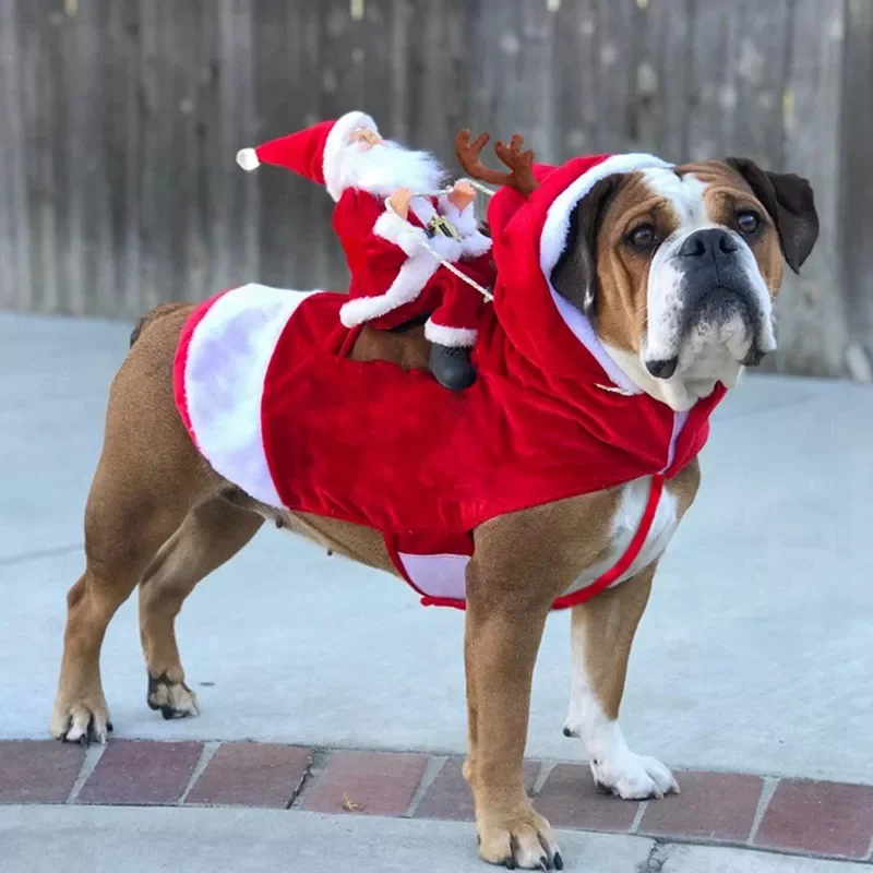 Christmas Pet Dog Cat Costumes Funny Santa Claus Costume For Dogs Cats Novelty Dog Clothes Chihuahua Pug York shire Clothing
Christmas Pet Dog Cat Costumes Funny Santa Claus Costume For Dogs Cats Novelty Dog Clothes Chihuahua Pug York shire Clothing