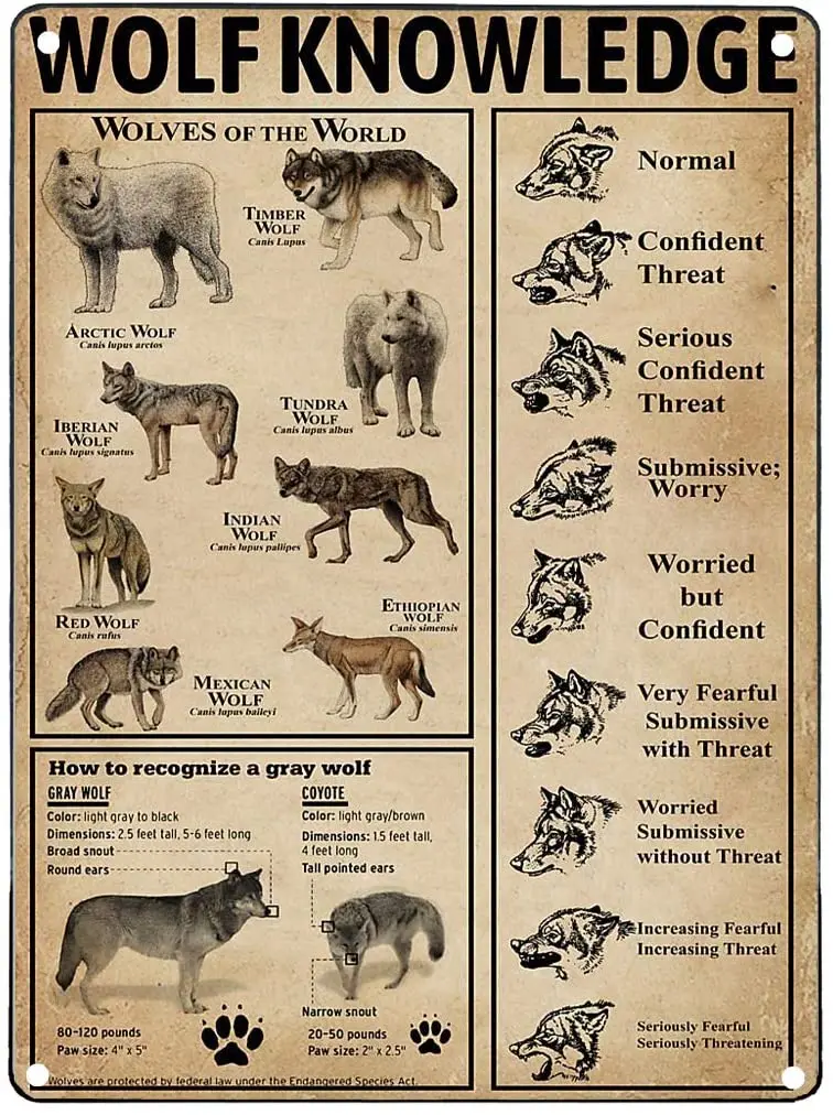 Vintage Tin Sign Bathroom Wolf Type Knowledge Bar Parlor Kitchen Caveat Wall Decor
Vintage Tin Sign Bathroom Wolf Type Knowledge Bar Parlor Kitchen Caveat Wall Decor
