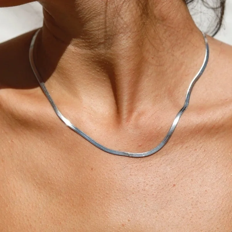 Minimalist 3mm Stainless Steel Snake Chain Necklaces for Women Classic Serpentine Bone Chain Choker Punk Jewelry
Minimalist 3mm Stainless Steel Snake Chain Necklaces for Women Classic Serpentine Bone Chain Choker Punk Jewelry