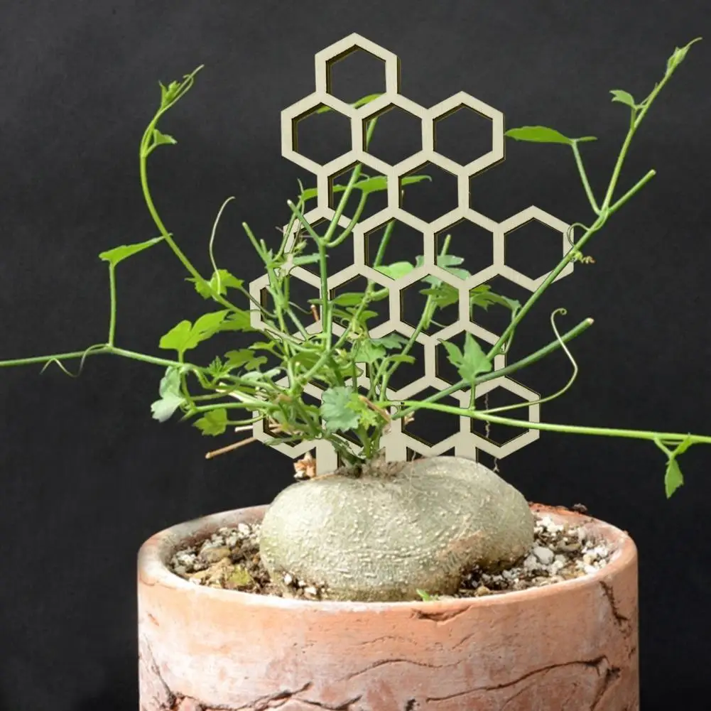 Flower Support Bracket Honeycomb Shape Plant Support Rack Creative Decorative Wood Flower Support Bracket Diy Flower Grow Stake
Flower Support Bracket Honeycomb Shape Plant Support Rack Creative Decorative Wood Flower Support Bracket Diy Flower Grow Stake