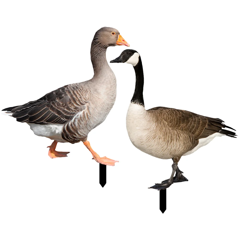 2pcs Garden Duck Inserts Duck Yards Acrylic Garden Stakes Duck Stake Signs for Garden
2pcs Garden Duck Inserts Duck Yards Acrylic Garden Stakes Duck Stake Signs for Garden