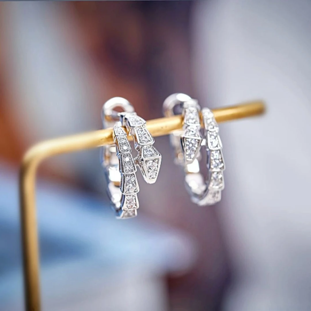European Luxury Jewelry Spring Snake Earrings Women's Fashion Trend Party Anniversary Sexy Gift
European Luxury Jewelry Spring Snake Earrings Women's Fashion Trend Party Anniversary Sexy Gift
