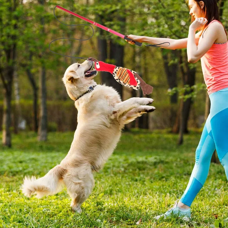 Pets Toys Interactive Dog Chew Toys Retractable Pole Funny Chasing Tail Teaser And Exerciser For Pets Dogs Interactive Toys
Pets Toys Interactive Dog Chew Toys Retractable Pole Funny Chasing Tail Teaser And Exerciser For Pets Dogs Interactive Toys