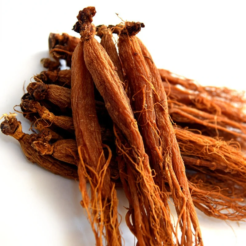 Korean Red Ginseng Root,Organic Red Korean Ginseng Root,Red Ginseng Root 12 Years Radix Ginseng Powder
Korean Red Ginseng Root,Organic Red Korean Ginseng Root,Red Ginseng Root 12 Years Radix Ginseng Powder