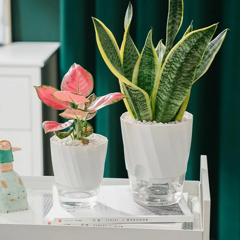 Lazy Flower Pot Innovative Flower Pot Automatic Water-Absorbing Flowerpot Transparent Double Layer Plastic Self Watering Planter
Lazy Flower Pot Innovative Flower Pot Automatic Water-Absorbing Flowerpot Transparent Double Layer Plastic Self Watering Planter