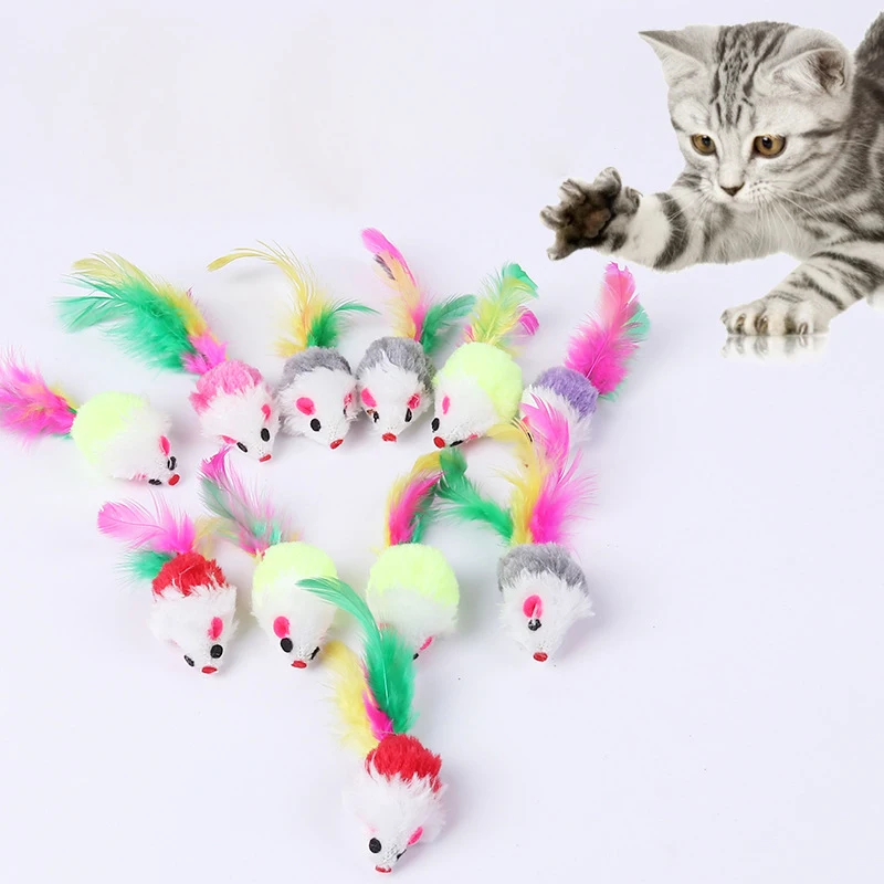 Fur False Mouse Pet Cat Toys Feather Rainbow Ball Toy Cayts Funny Playing Toys For Cats Kitten Fish Cat Toy
Fur False Mouse Pet Cat Toys Feather Rainbow Ball Toy Cayts Funny Playing Toys For Cats Kitten Fish Cat Toy