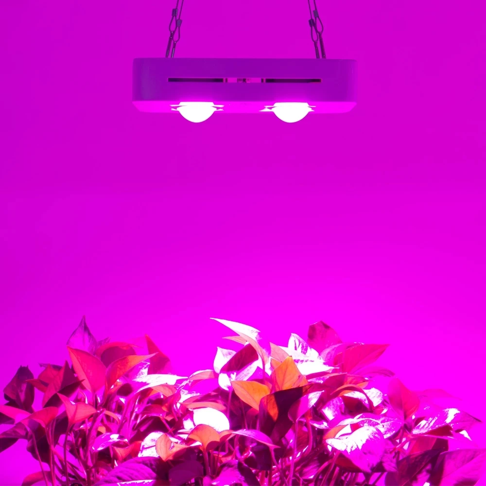 COB LED Grow Light Full Spectrum 300W LED Plant Grow Lamp for Indoor Tent Greenhouses Hydroponic Plant All Stage Growth Lighting
COB LED Grow Light Full Spectrum 300W LED Plant Grow Lamp for Indoor Tent Greenhouses Hydroponic Plant All Stage Growth Lighting