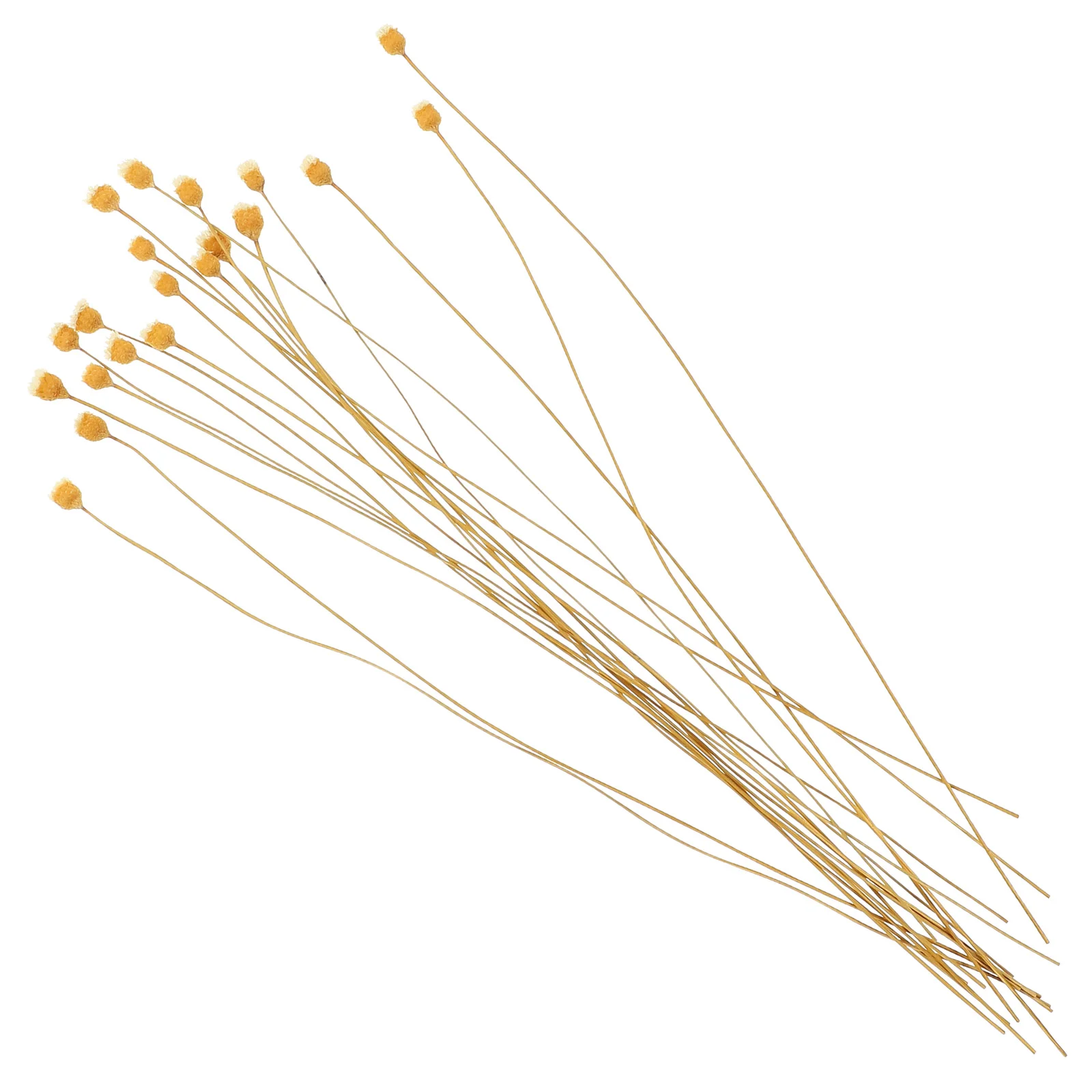 Substitute Aroma Volatile Wands Replaceable Diffuser Reeds Bottle Inserts Sticks Flower
Substitute Aroma Volatile Wands Replaceable Diffuser Reeds Bottle Inserts Sticks Flower