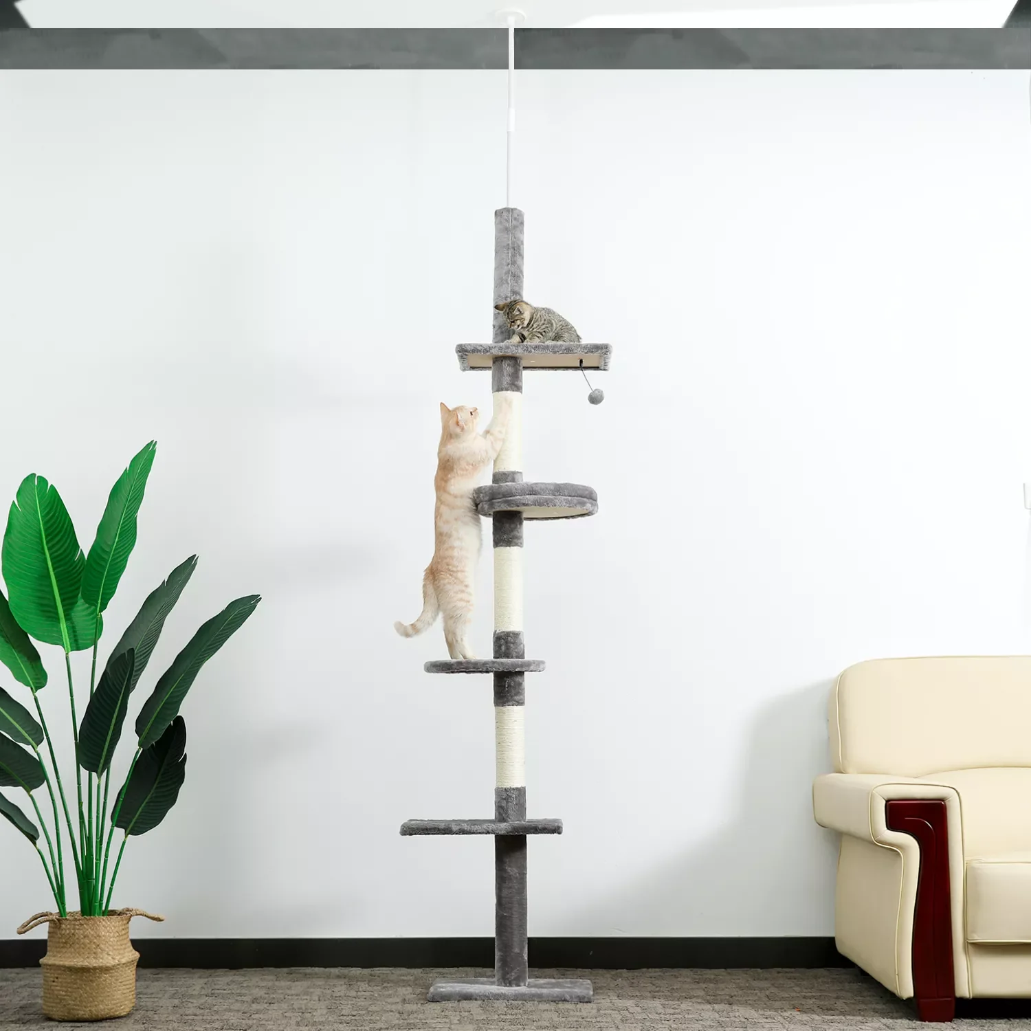 Domestic Delivery Height 238-274cm Cat Tree Condo Scratching Post Floor to Ceiling Adjustable Cat Scratcher Protecting Furniture
Domestic Delivery Height 238-274cm Cat Tree Condo Scratching Post Floor to Ceiling Adjustable Cat Scratcher Protecting Furniture
