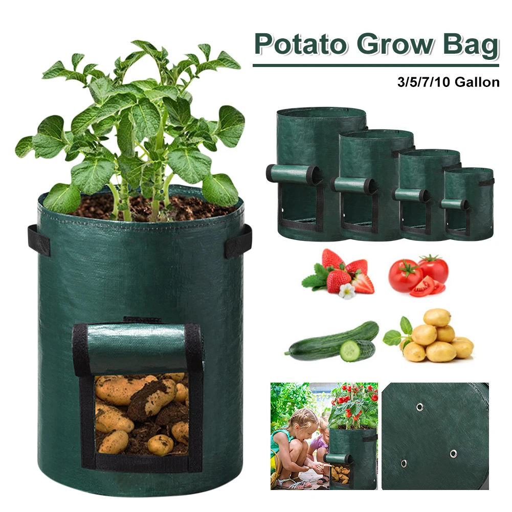5 Gallons Potato Grow Container Bag DIY Planter PE Cloth Planting Vegetable Gardening Thicken Pot Planting Grow Bag Garden Tool
5 Gallons Potato Grow Container Bag DIY Planter PE Cloth Planting Vegetable Gardening Thicken Pot Planting Grow Bag Garden Tool