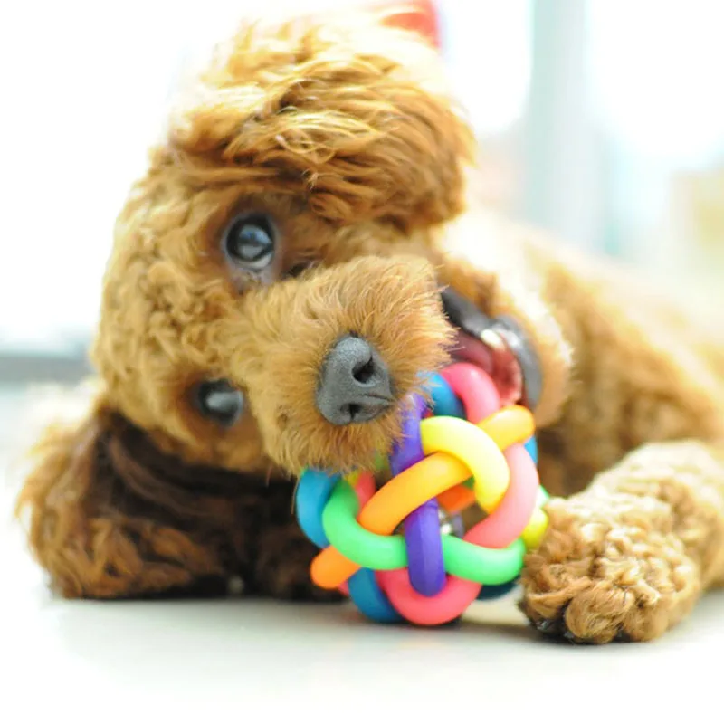 Pet Colorful Interactive Ball with Bell Wobbly Rubber Balls Wiggle Toy Balls Dog Ball Puppy Supply Interactive Dog Cat Ball Toys
Pet Colorful Interactive Ball with Bell Wobbly Rubber Balls Wiggle Toy Balls Dog Ball Puppy Supply Interactive Dog Cat Ball Toys