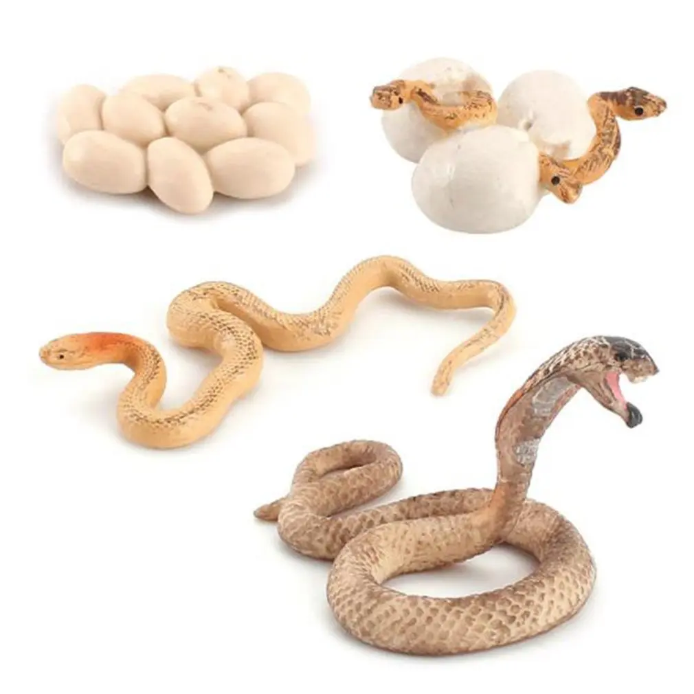 

Simulation Snake Growth Cycle Cobra Sand Python Model Children's Early Learning Cognitive Solid Decoration Toy Figure